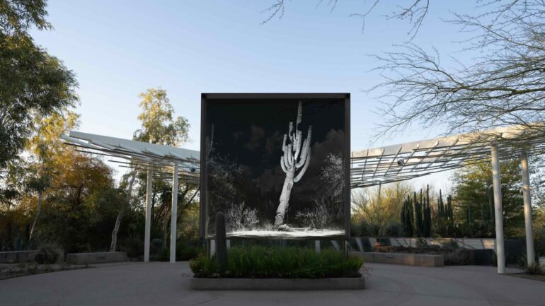 FRAMERATE: Desert Pulse – Một Cuộc khảo sát Công nghệ về Sa mạc Sonoran