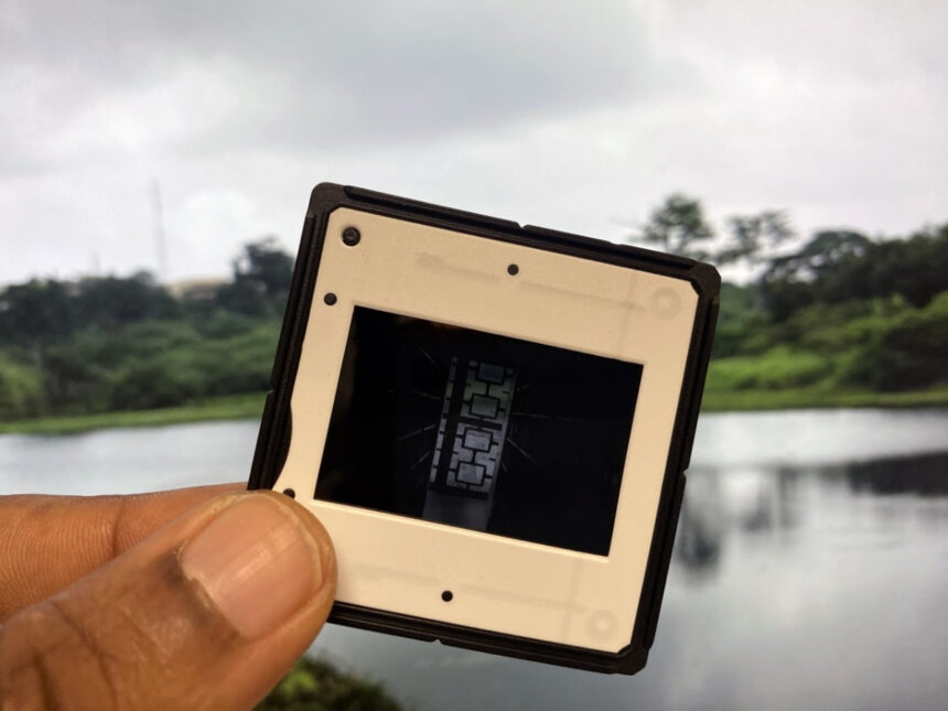 Onyeka Igwe, our generous mother 2025. © Onyeka Igwe